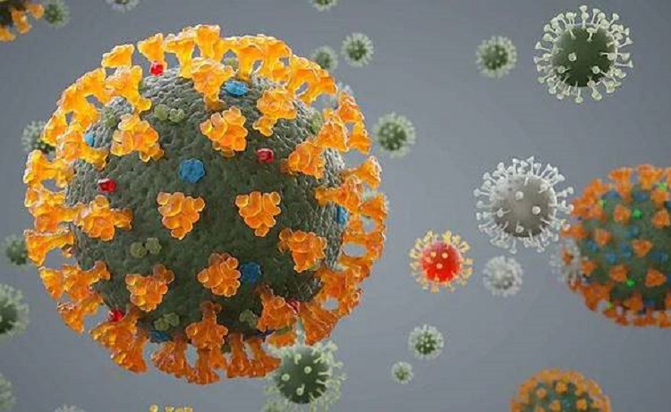 साइप्रसमा काेराेनाकाे नयाँ भेरियन्ट 'डेल्टाक्राेन' भेटियाे