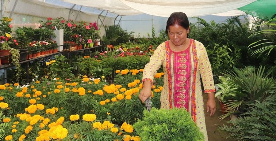 ८ मार्चः  पुष्प व्यवसायमा रमाएकी हुमाको कथा