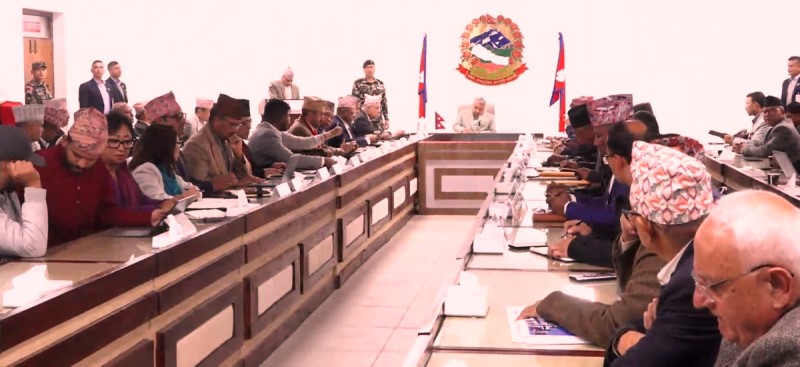 प्रधानमन्त्रीसँग छलफलः दलका नेता, कसले के भने ?